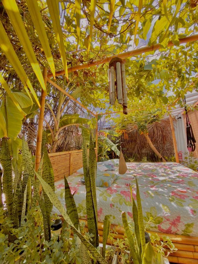 Casa Luz - * Fernando de Noronha