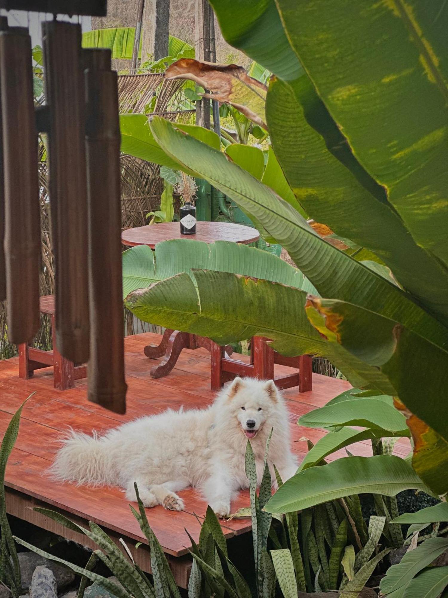 Casa Luz -